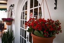CASTILLO BEACH CLUB35610