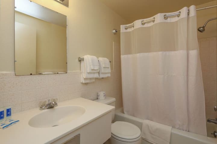 RODEWAY INN