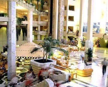 OCCIDENTAL OASIS ALLEGRO