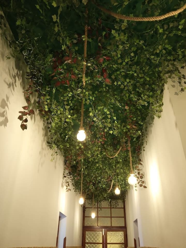 VAGAMUNDO HOSTEL
