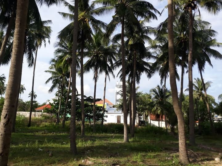 DAMINA BOUTIQUE HOTEL - HOSTEL