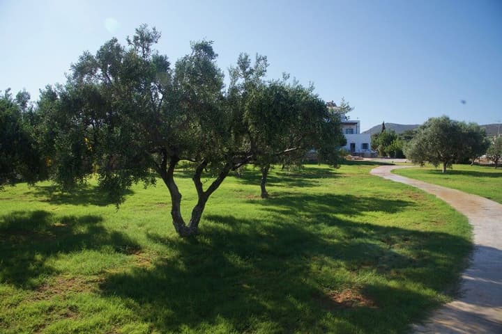 CAPARI SUITES