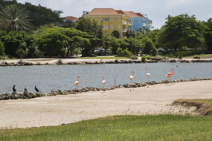 BLUE BAY EXCLUSIVE