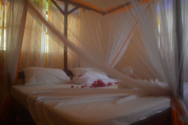 ZANZIBAR DREAM LODGE