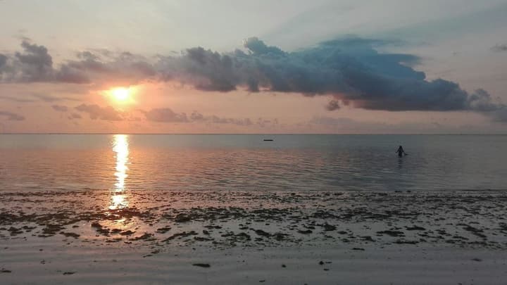 ZANZIBAR DREAM LODGE