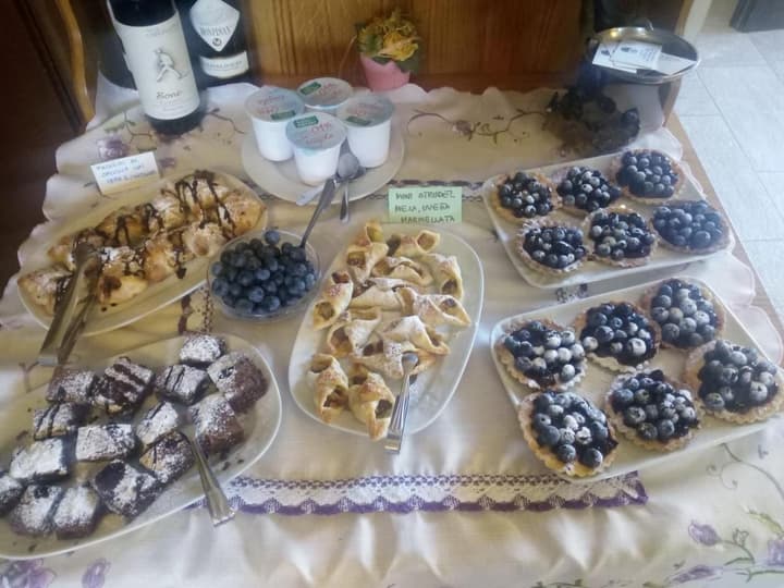 AGRITURISMO CASCINA AGUZZA