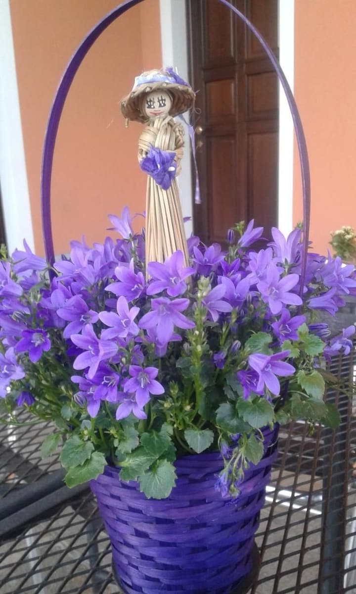 AGRITURISMO CASCINA AGUZZA