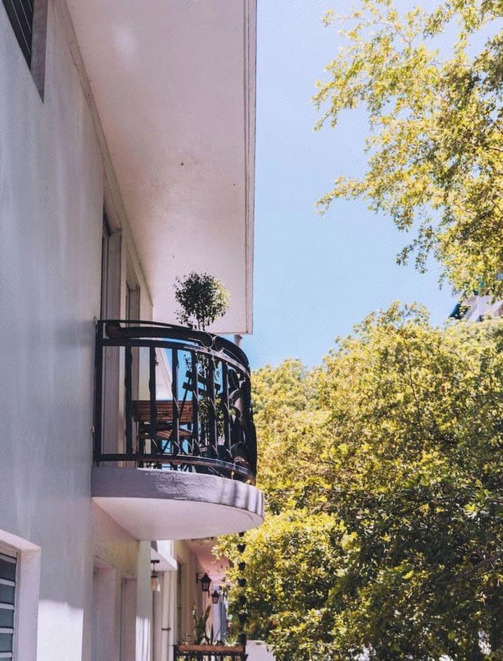 Placid Suites