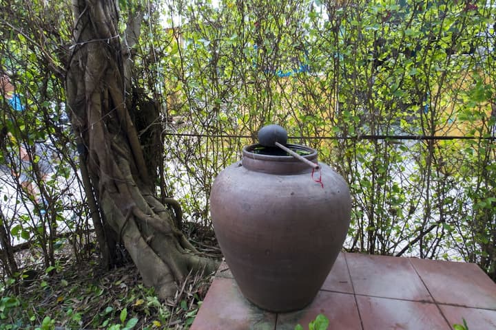 Countryside Moon Homestay