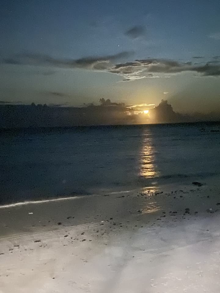 Arthotel Zanzibar