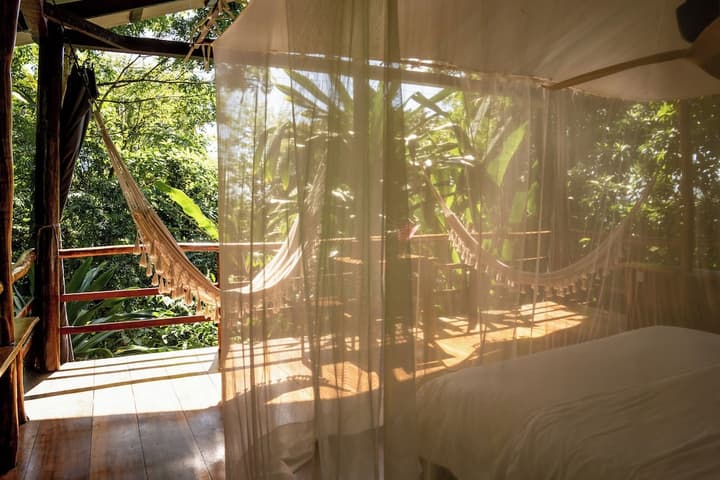 La Loma Jungle Lodge & Chocolate Farm