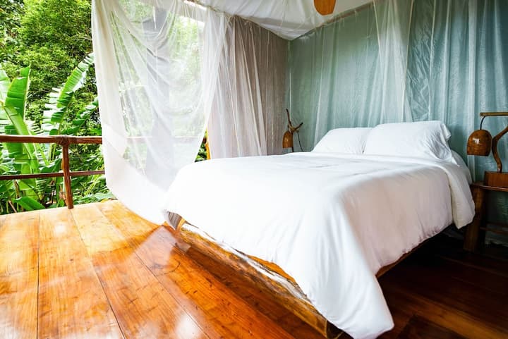 La Loma Jungle Lodge & Chocolate Farm