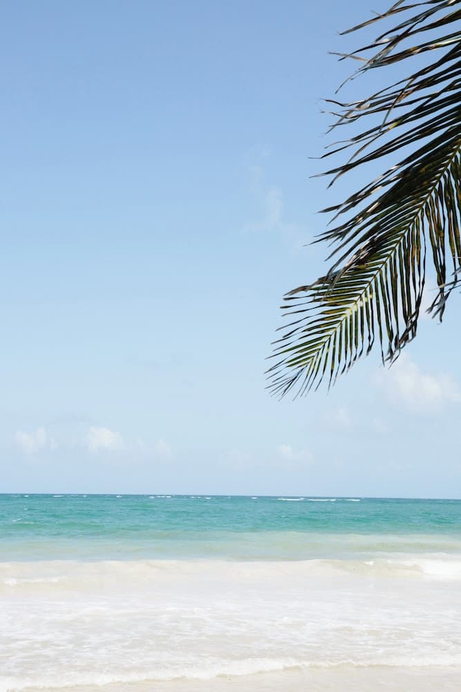 Olas Tulum