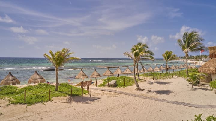Bahia Principe Escape Tequila