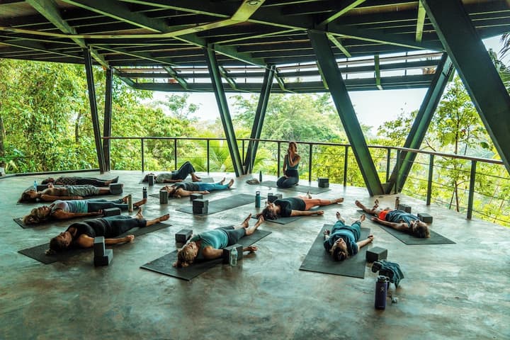 La Loma Jungle Lodge & Chocolate Farm