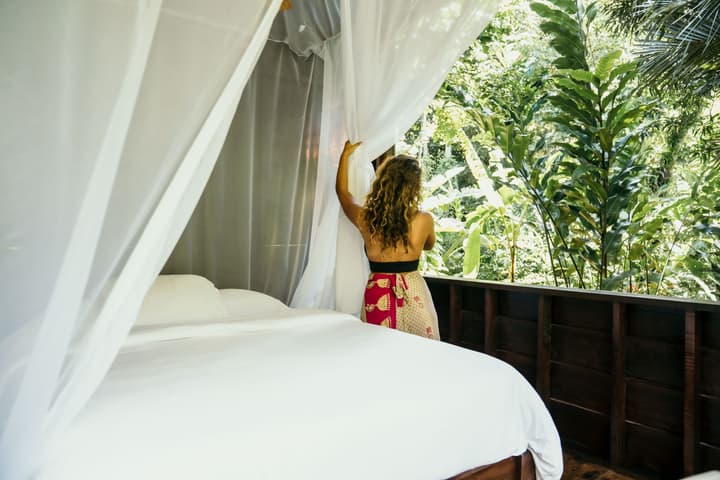 La Loma Jungle Lodge & Chocolate Farm