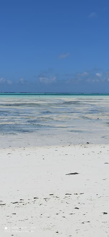 Arthotel Zanzibar