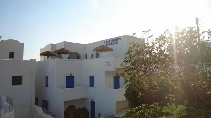 Halaris Studios