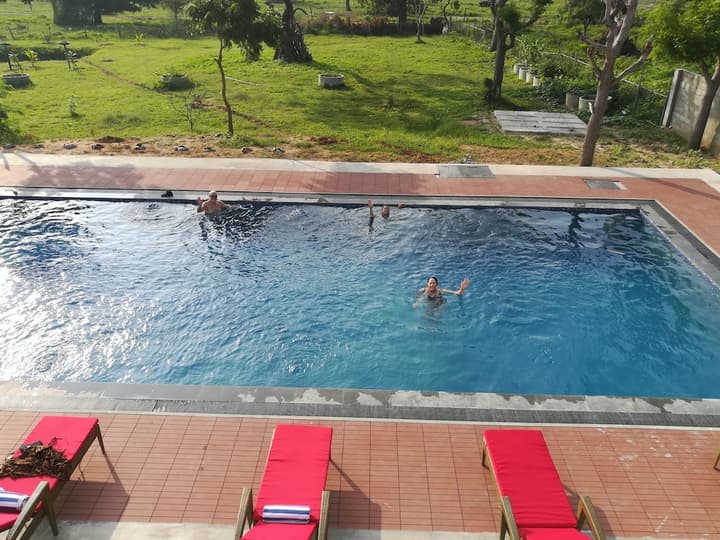 Flamingo Nature Resort