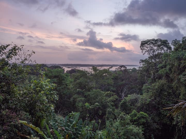 La Loma Jungle Lodge & Chocolate Farm