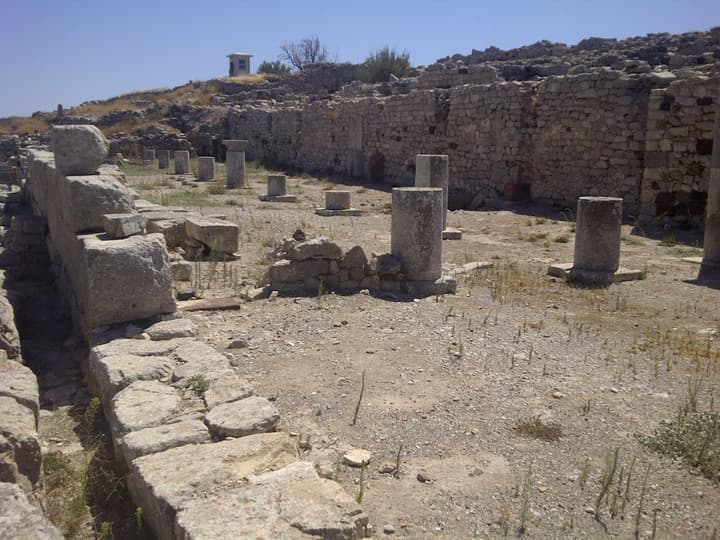 Halaris Studios