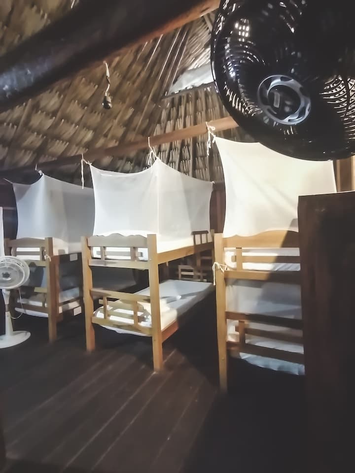 Primaluna Beach Hostel