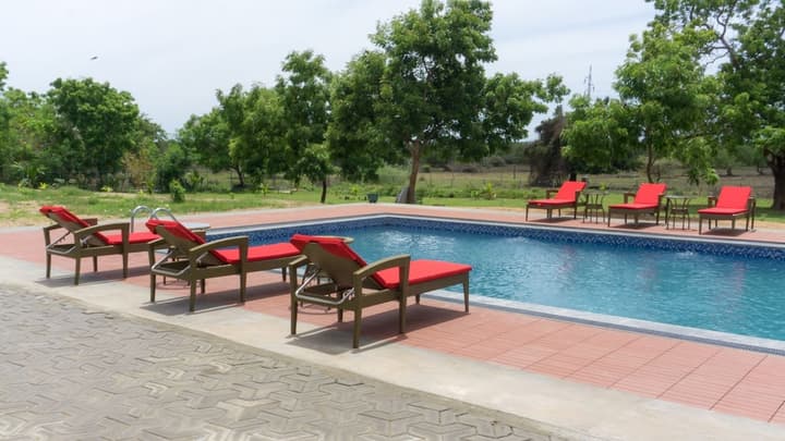 Flamingo Nature Resort