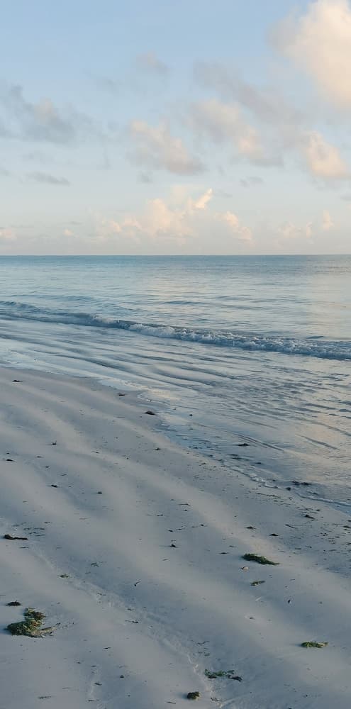 Arthotel Zanzibar