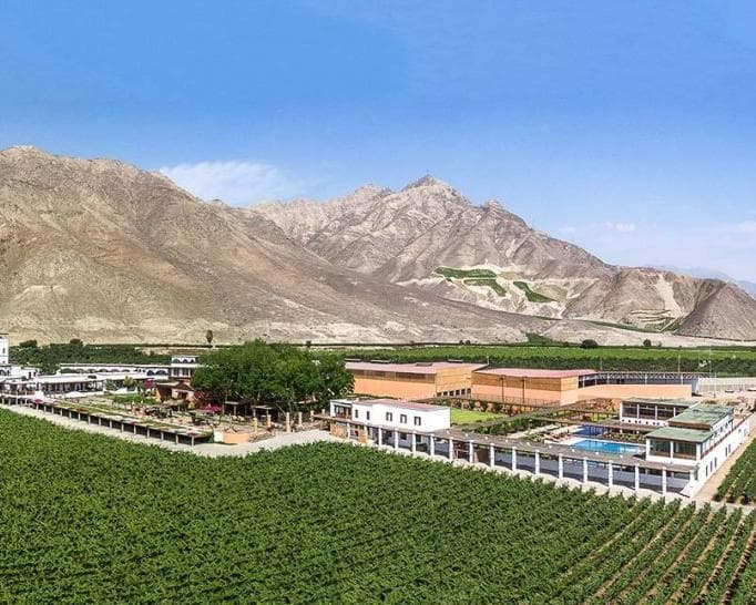 Hotel Viñas Queirolo Ica
