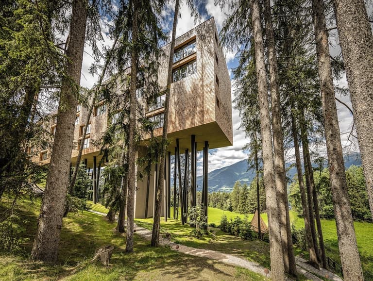 My Arbor - Adults Only