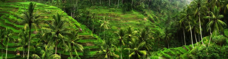 Taro, اندونزی