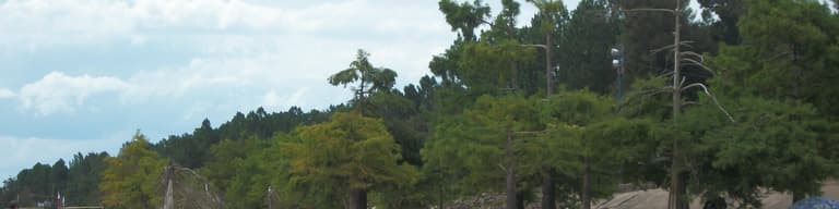 San Gregorio de Polanco, Uruguay