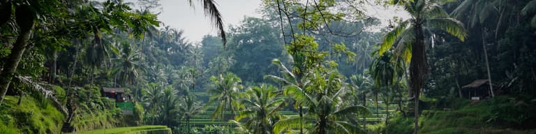 Сукавати, Индонезийски