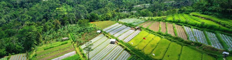 Pelaga (Province), أندونيسيا