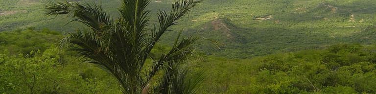 Catuçaba, Brasil