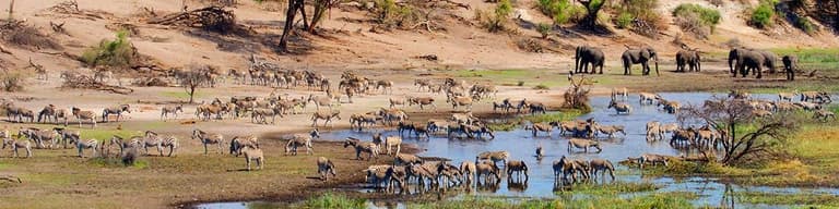 Makgadikgadi Pans (Parque Nacional), Botswana