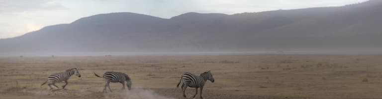 Νακουρού, Κενύα