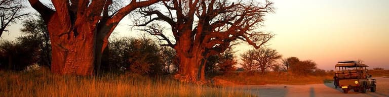 Nxai Pan (Parco nazionale), Botswana