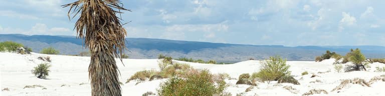 Cuatrociénegas de Carranza, México