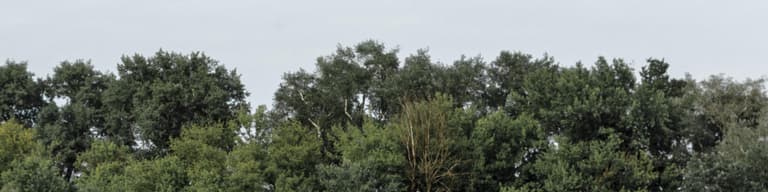 Szentendre, 匈牙利