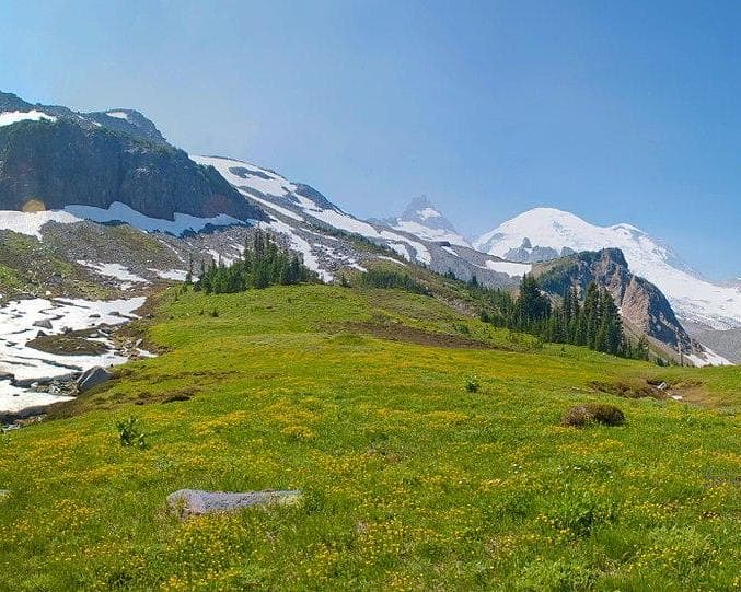 Mount Rainier National Park WA, Verenigde Staten