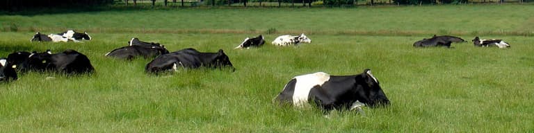 Gieten, Países Bajos