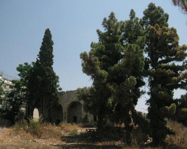 Baqa al-Gharbiyye, Israele