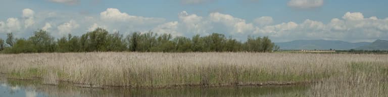 Ciudad Real (Provincia), España