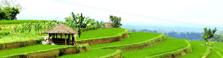 Payangan, indonesien