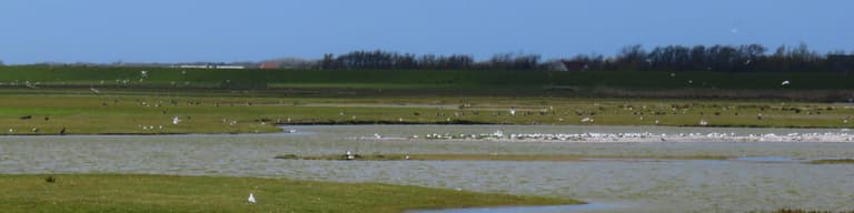 Texel, Países Bajos