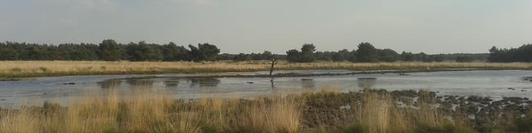 Hoenderloo, Países Bajos
