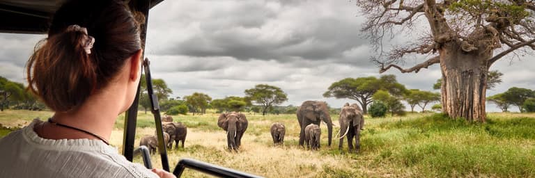 Image - Top Experiences