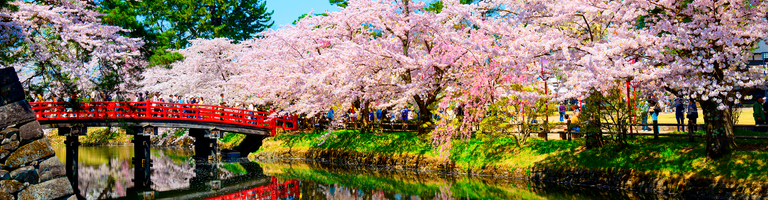 9 nights. Japan, South Korea