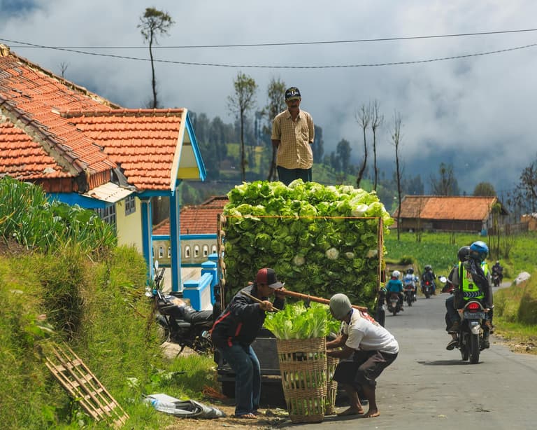 Cemoro Lawang